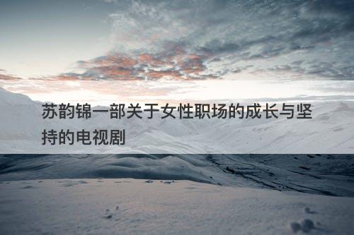 苏韵锦一部关于女性职场的成长与坚持的电视剧-图1