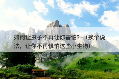 如何让虫子不再让你害怕？（换个说法，让你不再惧怕这些小生物）-图1