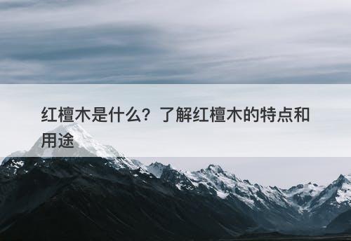 红檀木是什么？了解红檀木的特点和用途-图1