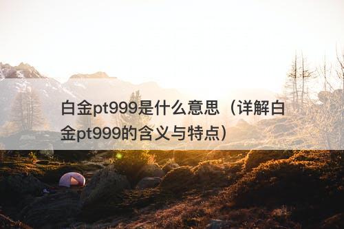 白金pt999是什么意思（详解白金pt999的含义与特点）