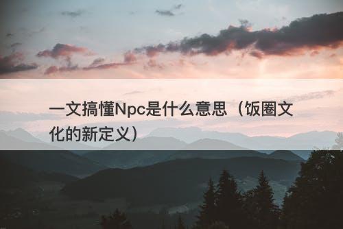 一文搞懂Npc是什么意思（饭圈文化的新定义）