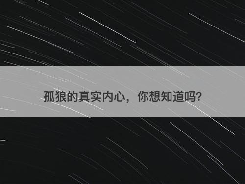 孤狼的真实内心，你想知道吗？-图1