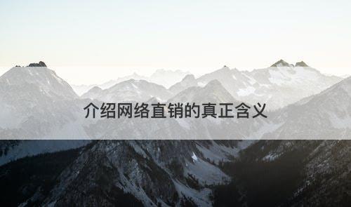 介绍网络直销的真正含义