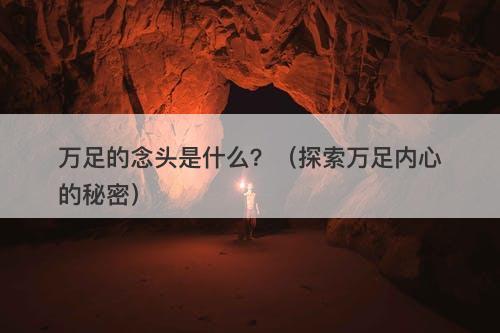 万足的念头是什么？（探索万足内心的秘密）