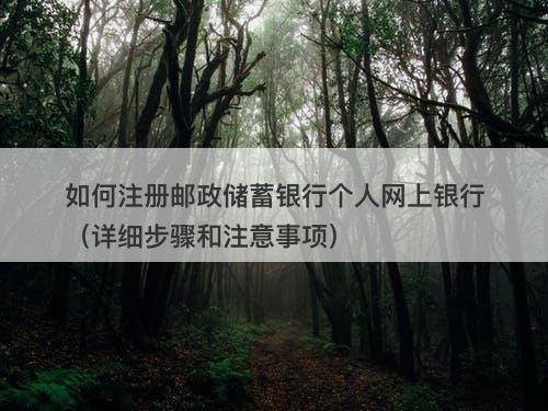 如何注册邮政储蓄银行个人网上银行（详细步骤和注意事项）