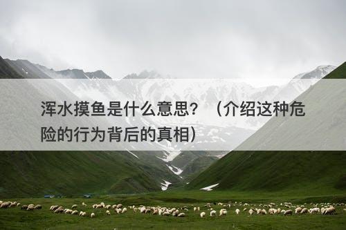 浑水摸鱼是什么意思？（介绍这种危险的行为背后的真相）