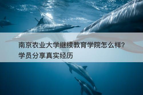 南京农业大学继续教育学院怎么样？学员分享真实经历