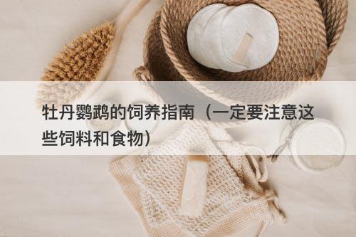 牡丹鹦鹉的饲养指南（一定要注意这些饲料和食物）