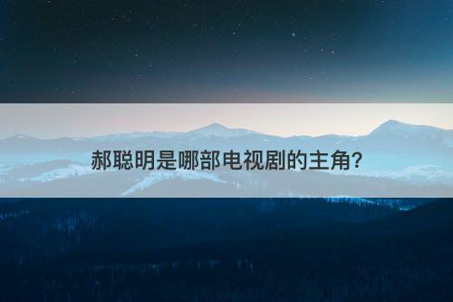 郝聪明是哪部电视剧的主角？
