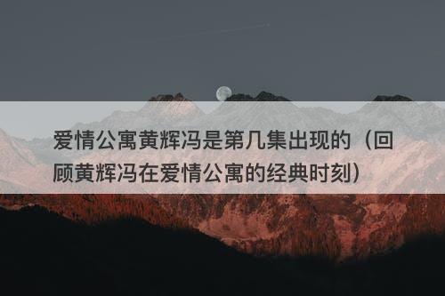 爱情公寓黄辉冯是第几集出现的（回顾黄辉冯在爱情公寓的经典时刻）