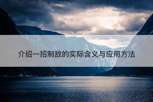 介绍一招制敌的实际含义与应用方法