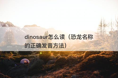 dinosaur怎么读（恐龙名称的正确发音方法）