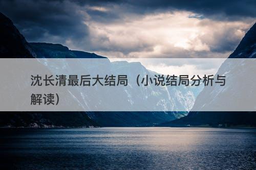 沈长清最后大结局（小说结局分析与解读）