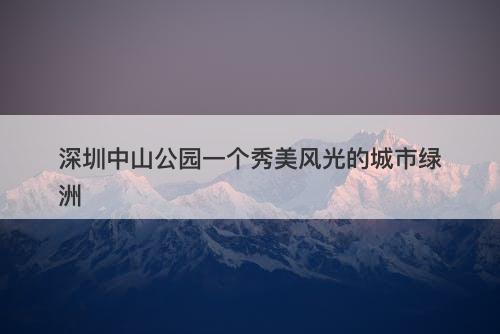 深圳中山公园一个秀美风光的城市绿洲