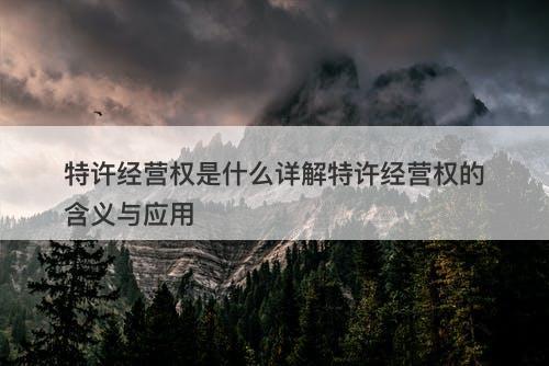 特许经营权是什么详解特许经营权的含义与应用