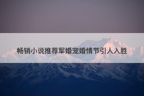 畅销小说推荐军婚宠婚情节引人入胜