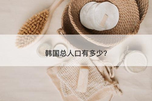 韩国总人口有多少？