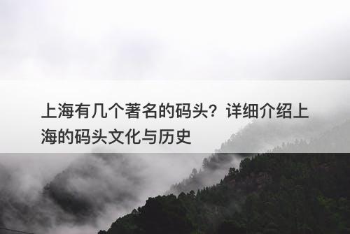 上海有几个著名的码头？详细介绍上海的码头文化与历史