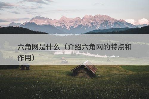 六角网是什么（介绍六角网的特点和作用）