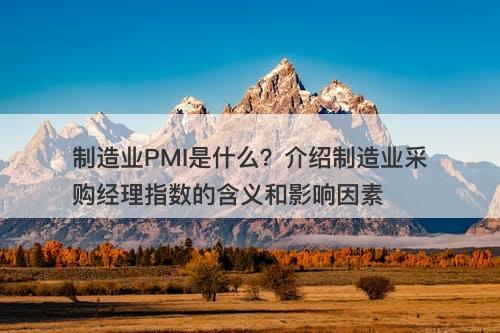制造业PMI是什么？介绍制造业采购经理指数的含义和影响因素