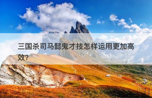 三国杀司马懿鬼才技怎样运用更加高效？