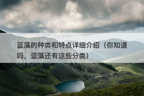 蓝藻的种类和特点详细介绍（你知道吗，蓝藻还有这些分类）
