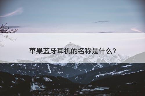 苹果蓝牙耳机的名称是什么？