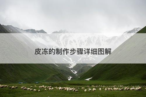 皮冻的制作步骤详细图解
