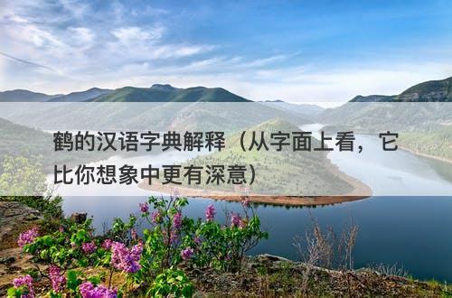 鹤的汉语字典解释（从字面上看，它比你想象中更有深意）