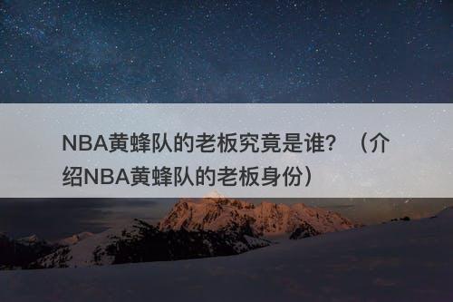 NBA黄蜂队的老板究竟是谁？（介绍NBA黄蜂队的老板身份）