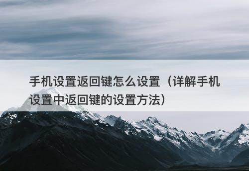 手机设置返回键怎么设置（详解手机设置中返回键的设置方法）