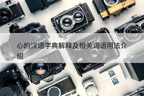 心的汉语字典解释及相关词语用法介绍
