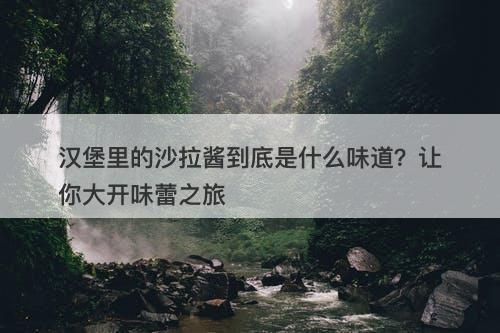 汉堡里的沙拉酱到底是什么味道？让你大开味蕾之旅