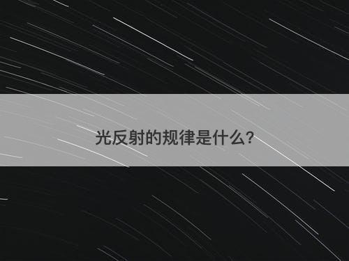 光反射的规律是什么？