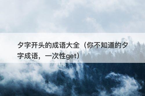 夕字开头的成语大全（你不知道的夕字成语，一次性get）