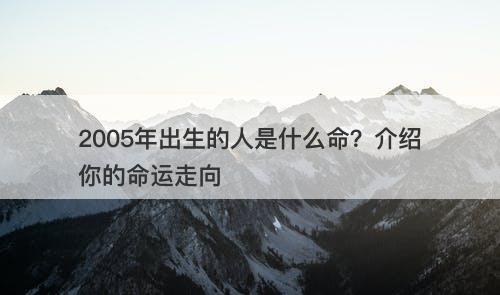 2005年出生的人是什么命？介绍你的命运走向