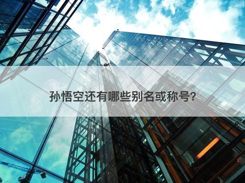 孙悟空还有哪些别名或称号？