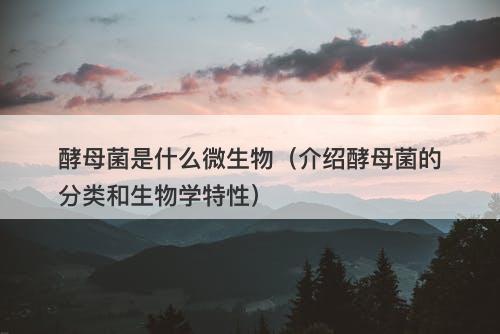 酵母菌是什么微生物（介绍酵母菌的分类和生物学特性）