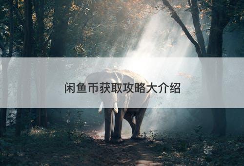 闲鱼币获取攻略大介绍