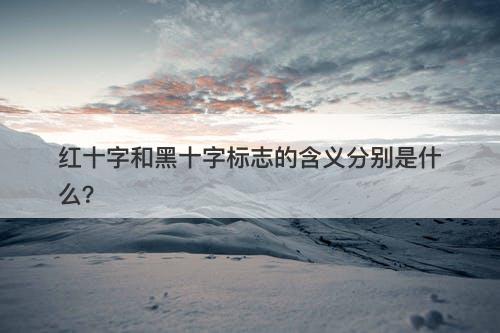 红十字和黑十字标志的含义分别是什么？