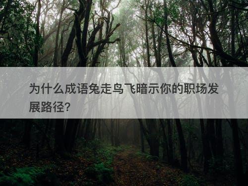 为什么成语兔走鸟飞暗示你的职场发展路径？