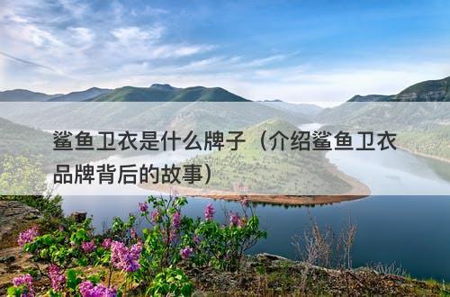 鲨鱼卫衣是什么牌子（介绍鲨鱼卫衣品牌背后的故事）