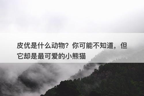 皮优是什么动物？你可能不知道，但它却是最可爱的小熊猫