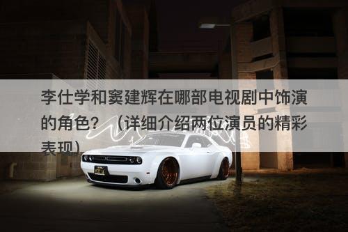 李仕学和窦建辉在哪部电视剧中饰演的角色？（详细介绍两位演员的精彩表现）