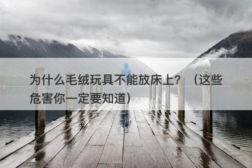 为什么毛绒玩具不能放床上？（这些危害你一定要知道）