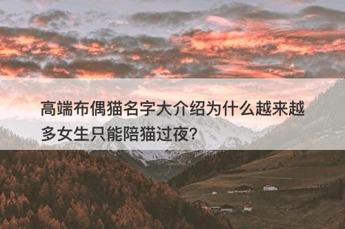 高端布偶猫名字大介绍为什么越来越多女生只能陪猫过夜？