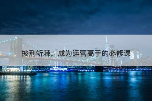 披荆斩棘，成为运营高手的必修课