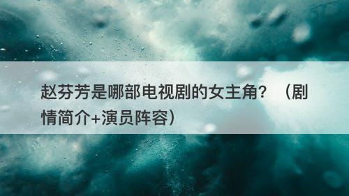 赵芬芳是哪部电视剧的女主角？（剧情简介+演员阵容）