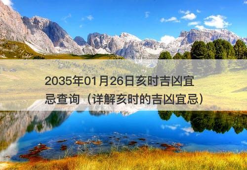2035年01月26日亥时吉凶宜忌查询（详解亥时的吉凶宜忌）