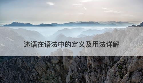 述语在语法中的定义及用法详解